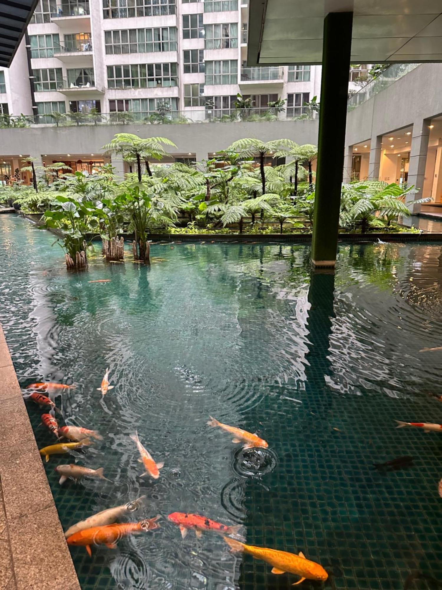 Modern Bauhaus Studio At Regalia Klcc Infinity Pool Kuala Lumpur Exteriér fotografie